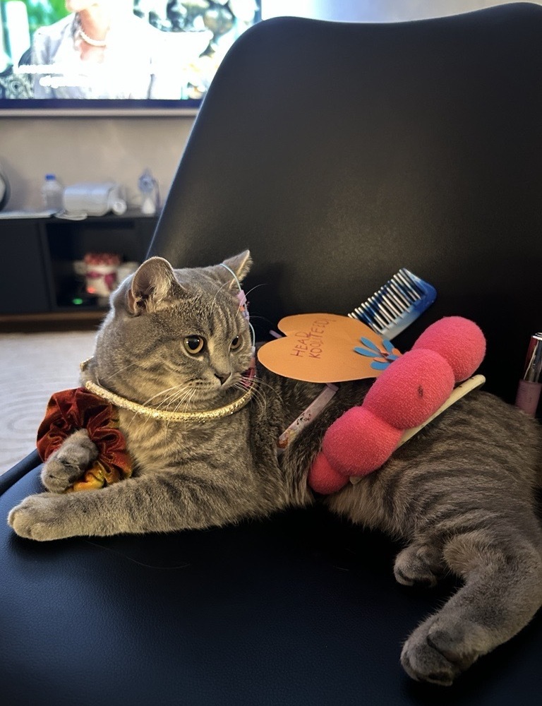 Gast-Kater Juus