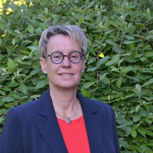 Nach dem Austauschjahr